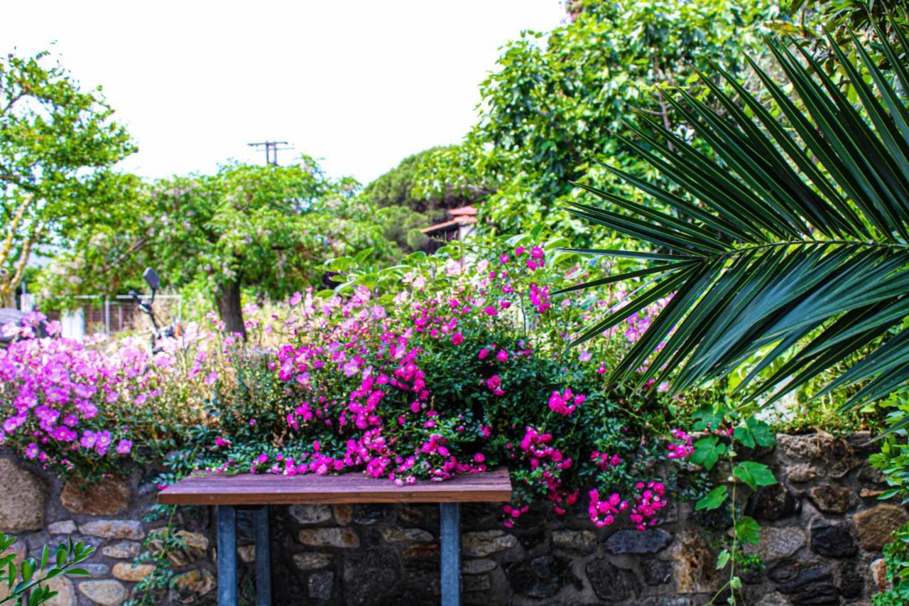 Theano Studios Paralia Sikias Exterior photo